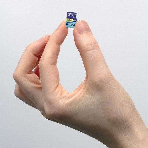 Goodram RIVAL M3AA 256 GB microSDXC-Speicherkarte U3 V30 mit SD-Adapter