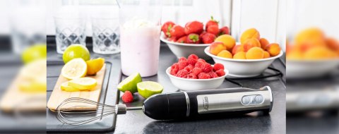 Camry CR 4621 Handmixer 2-in-1, 600 W, Pürierstab, Becher 600 ml