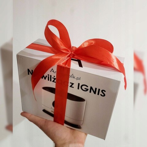 Aromaholik IGNIS Aroma-Diffusor mit Flammeneffekt und Timer